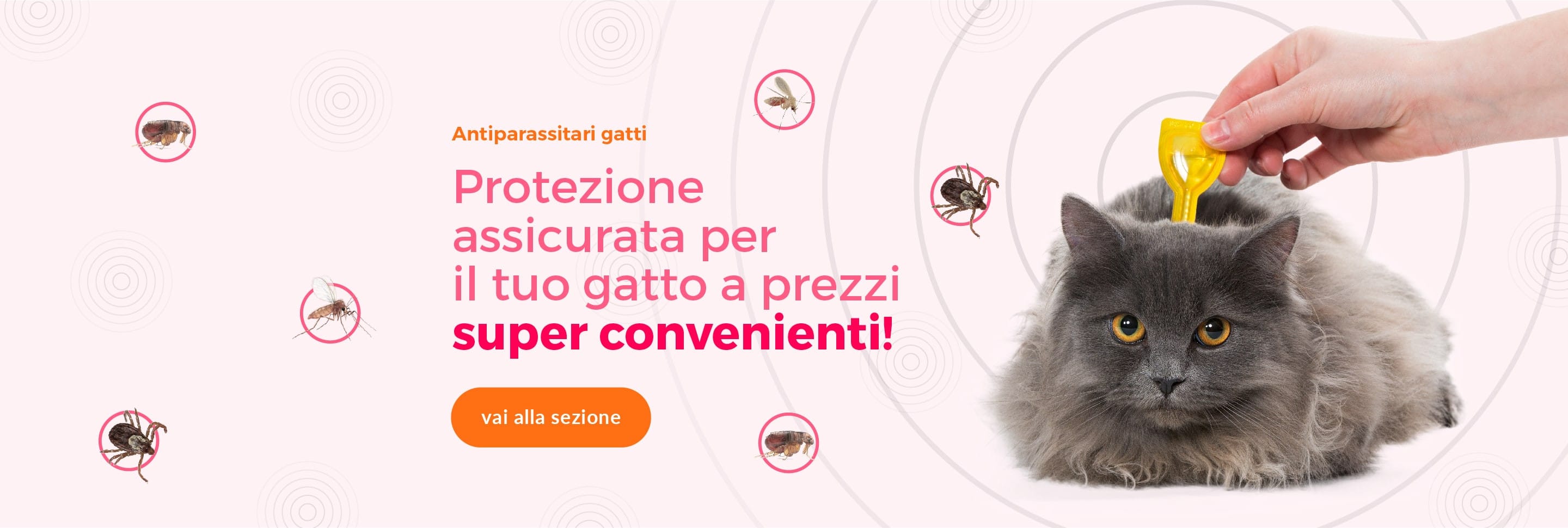 Antiparassitari Gatti